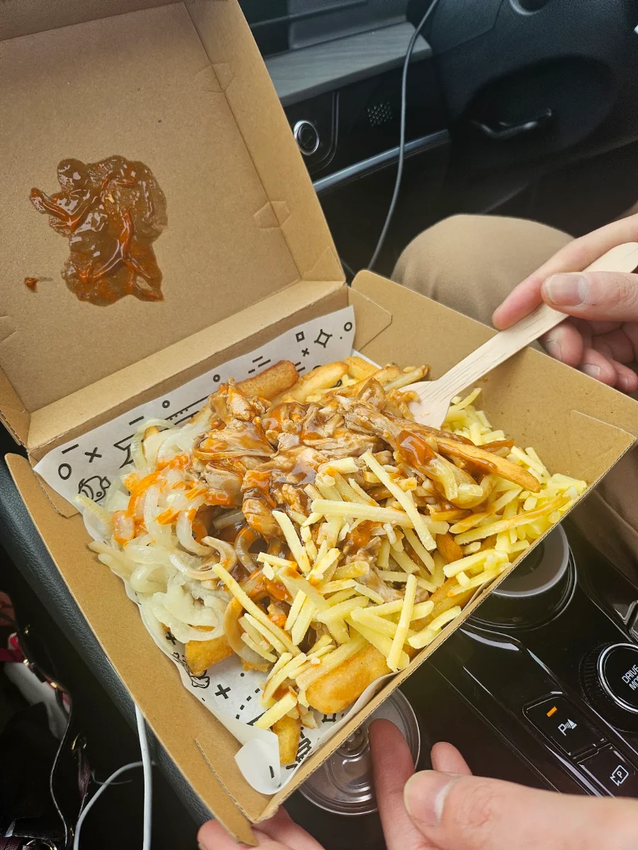 Loaded Fries