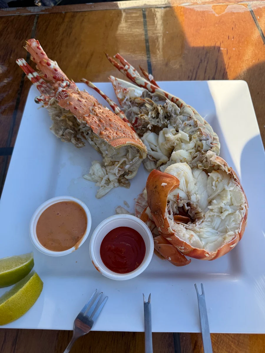 Crayfish, Prawn Star Mooloolaba