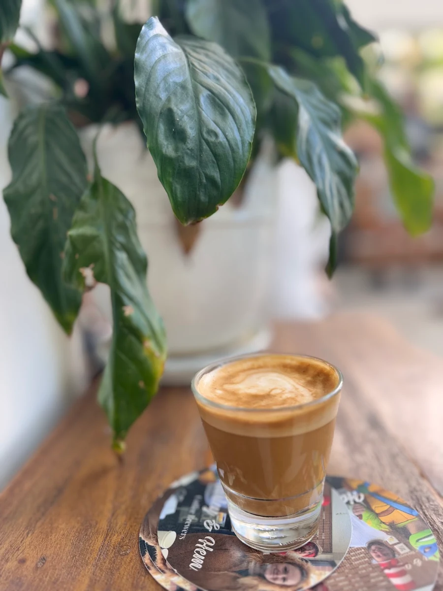 Highlights, Harley & Hem Coffee Brewers
