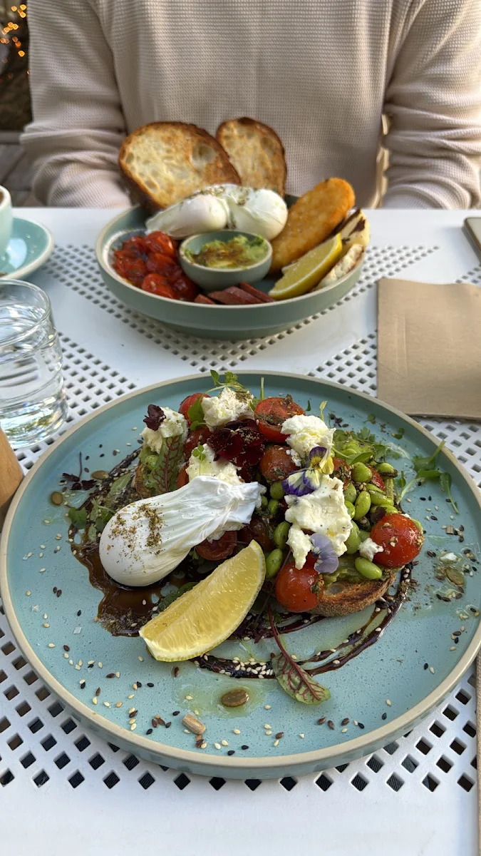 Smashed Avocado