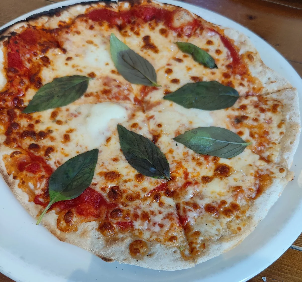 Pizza Margherita