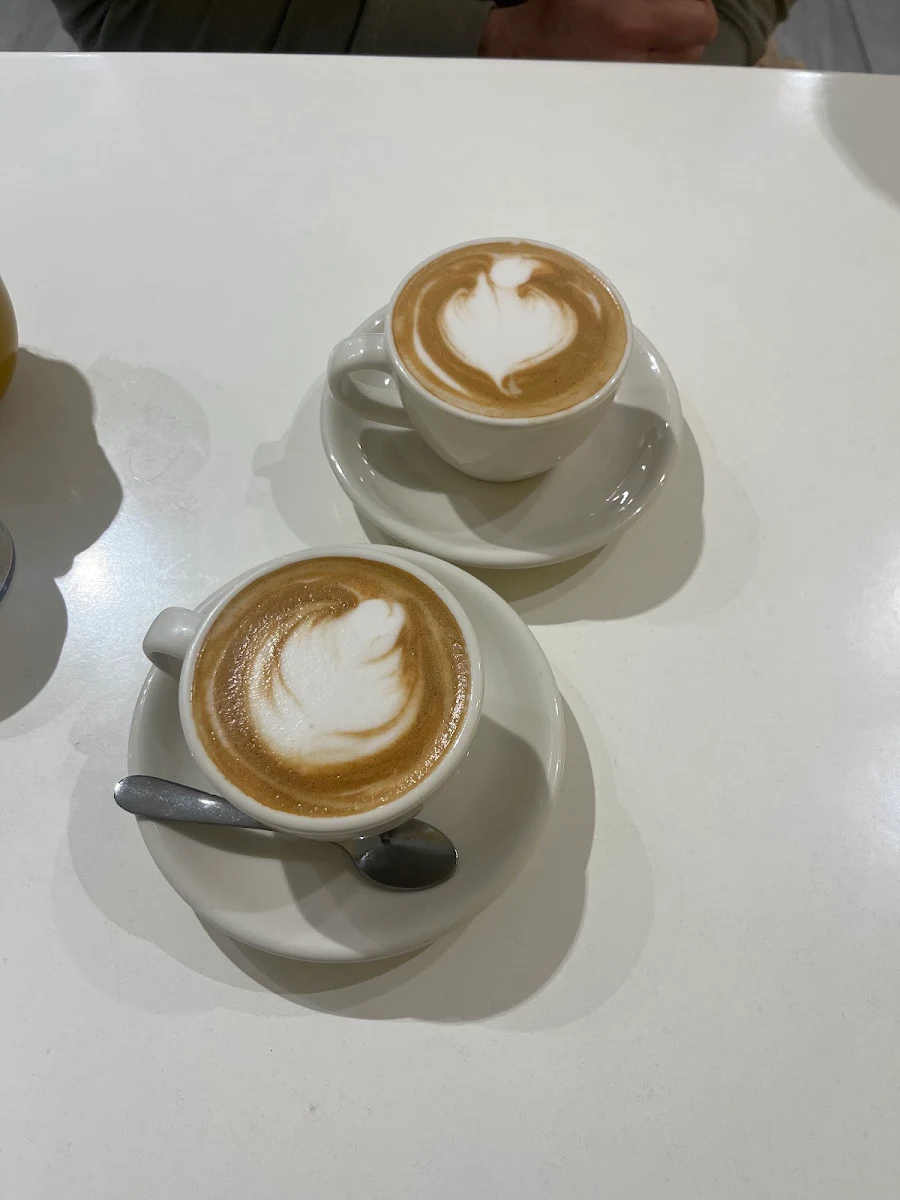 Flat White Large