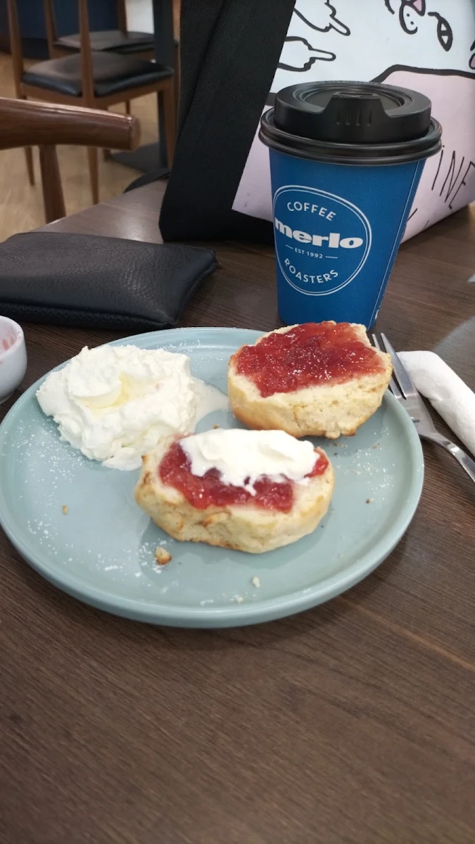 Highlights, Barrow & Bear Travel + Cruise - Morayfield