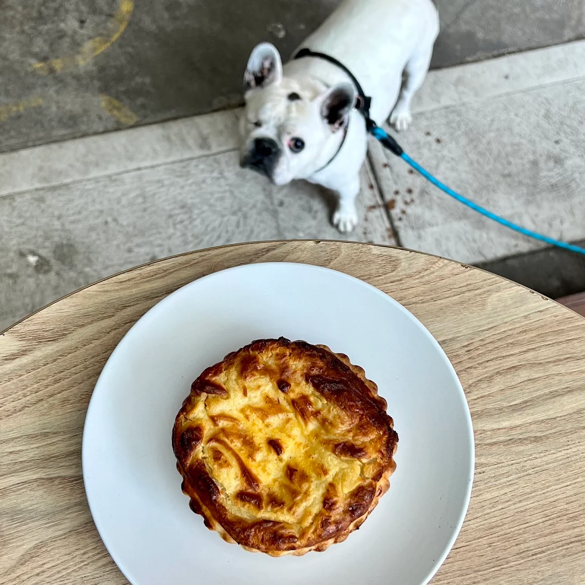 Shepards Pie, Baketico by Wonder Pies Brunswick