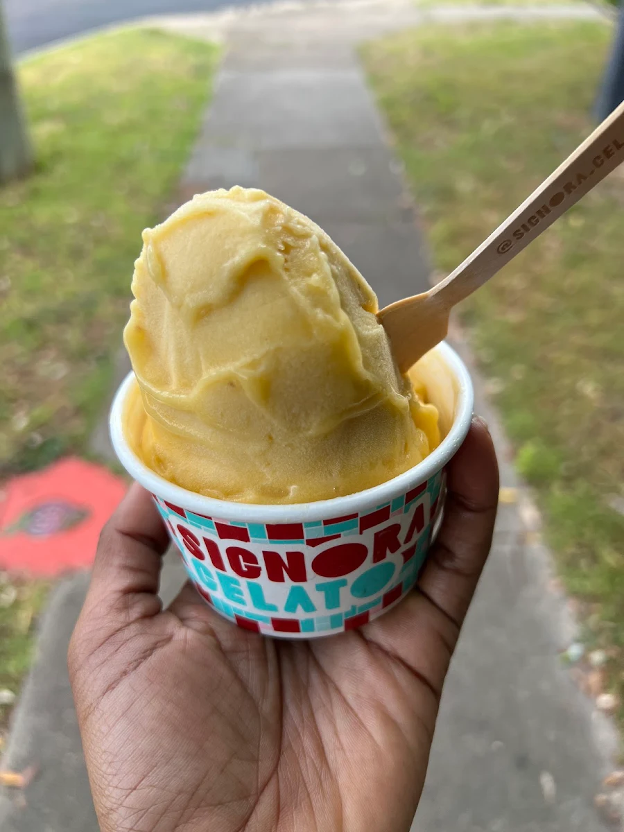 Highlights, Signora Gelato