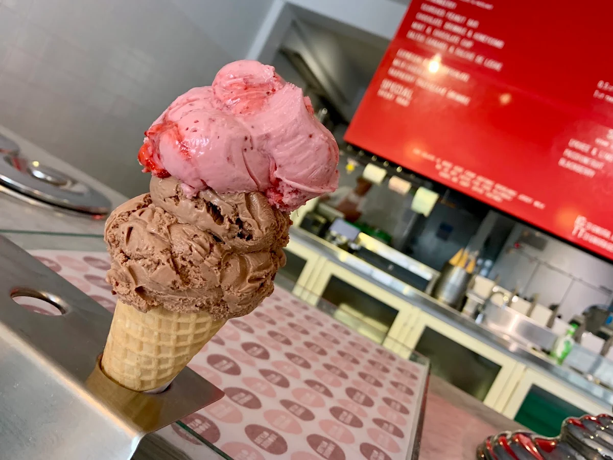 Highlights, Signora Gelato