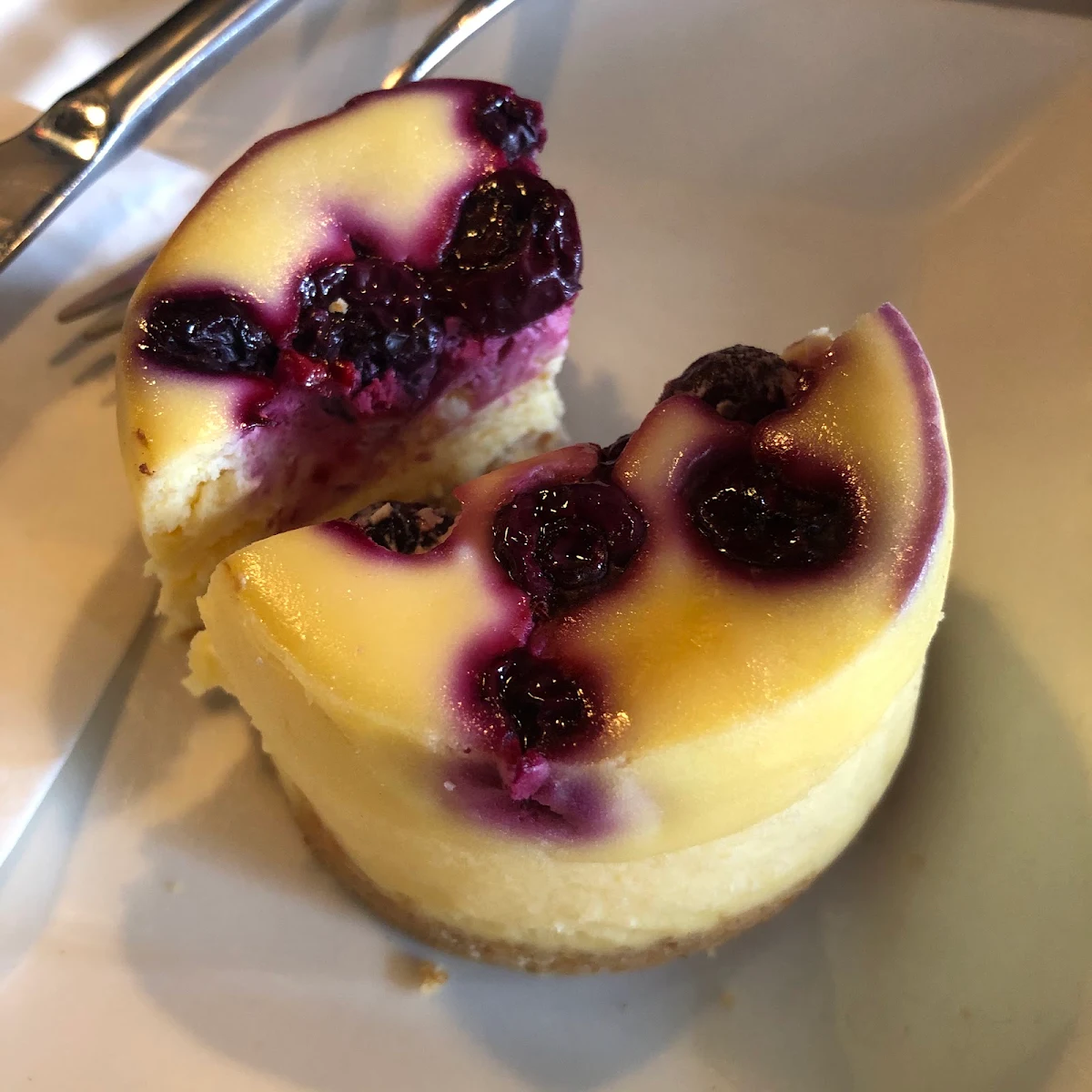 Blueberry Cheesecake