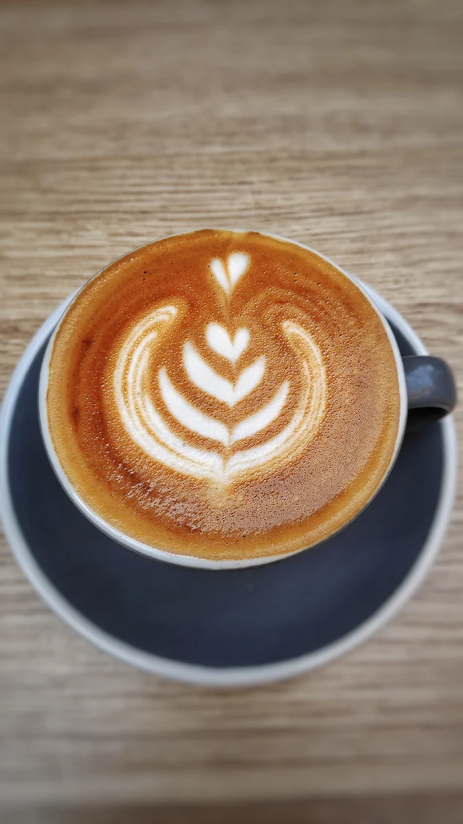 Magic, Ecru Coffee