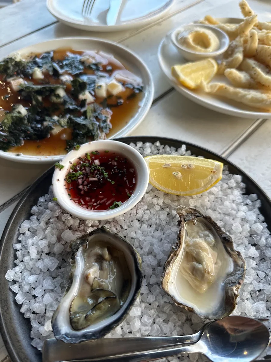 Sydney Rock Oysters Each