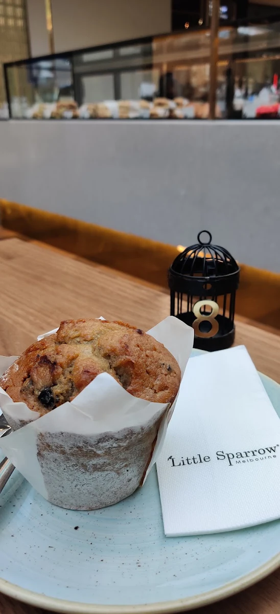 Blueberry Muffin