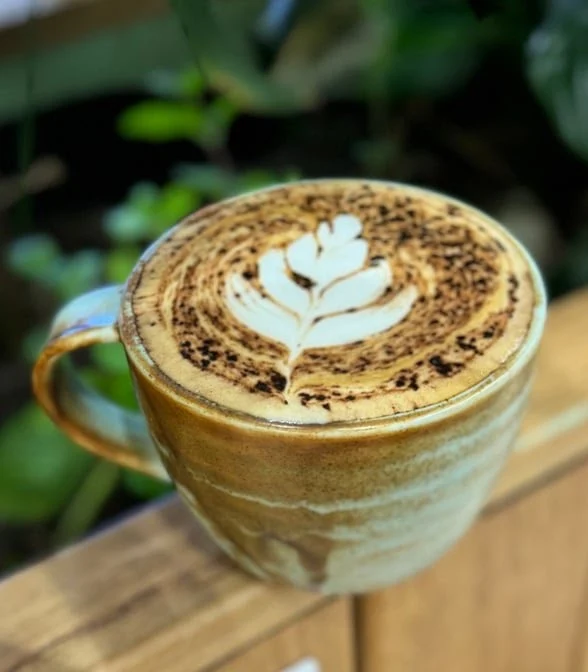 Highlights, Yummy Delicious Cakes