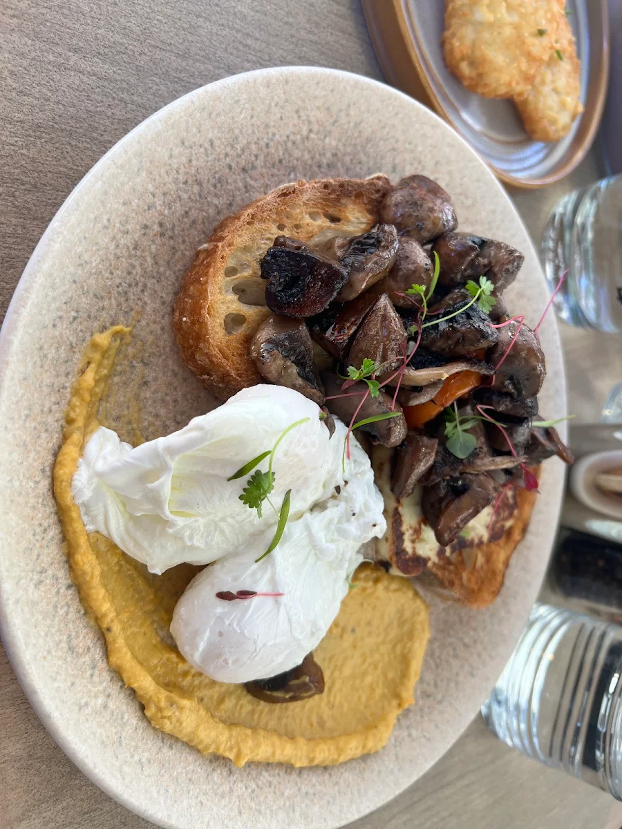 Mushroom on Toast