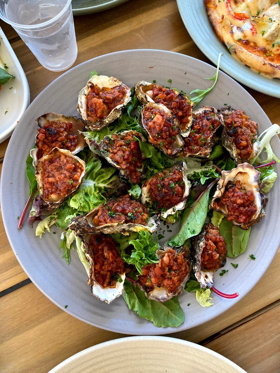 Oysters
