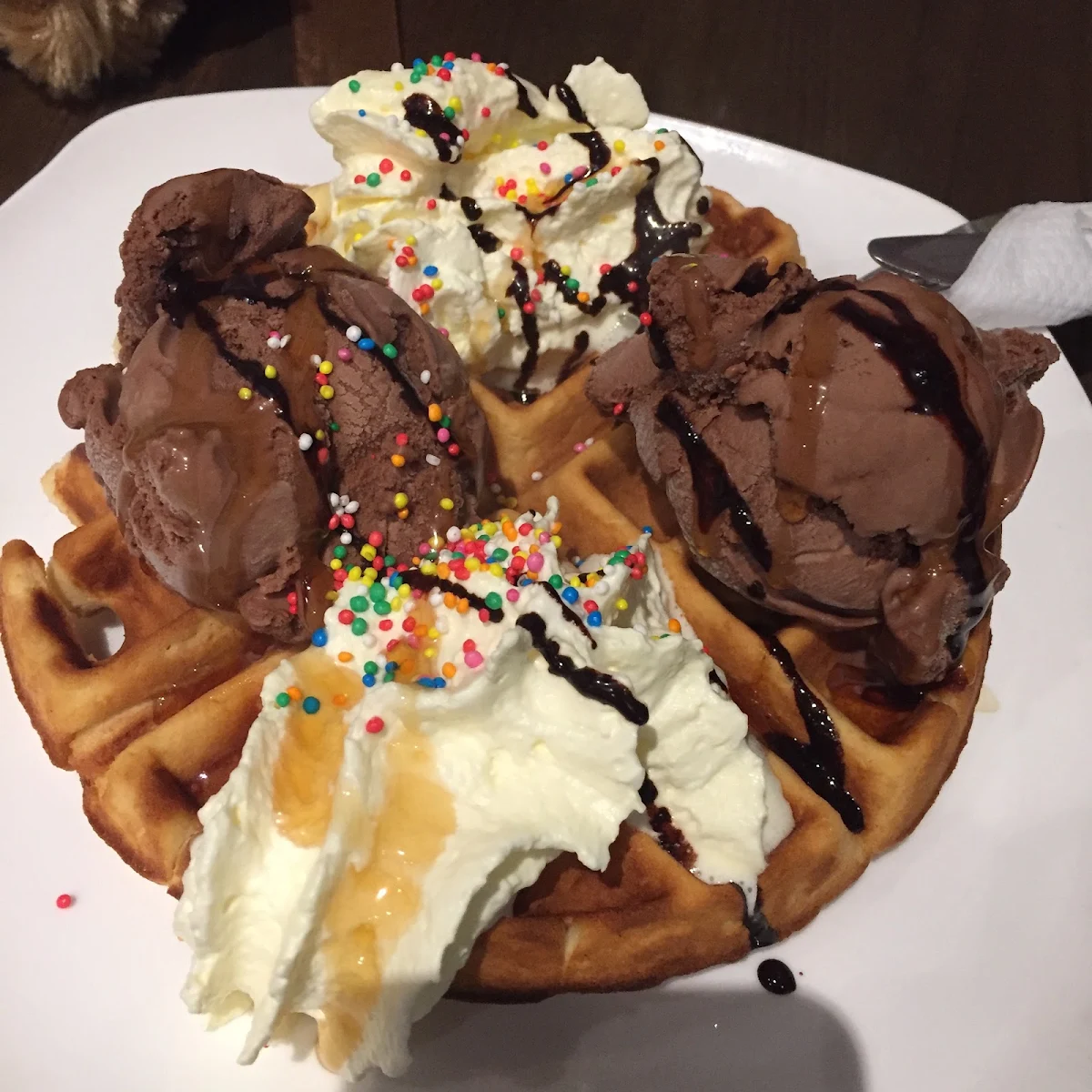 Highlights, Cafe Gelato