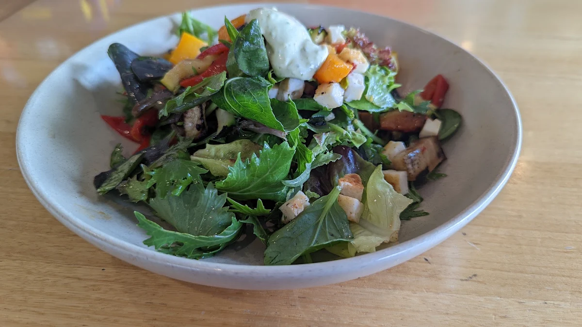 Chargrilled Vegetable & Haloumi Salad, Sailor's Grill Drummoyne