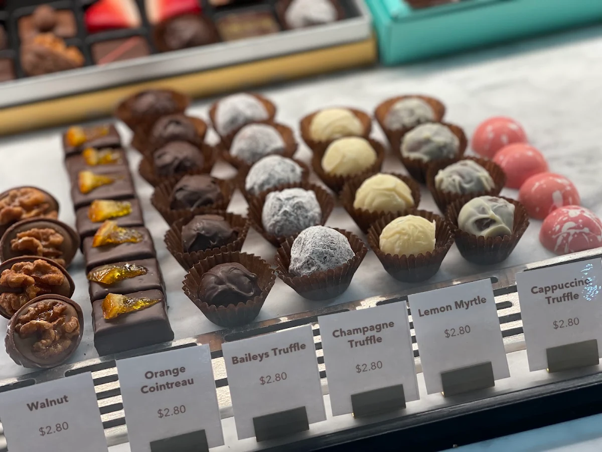 Vegan Chocolate Showcase