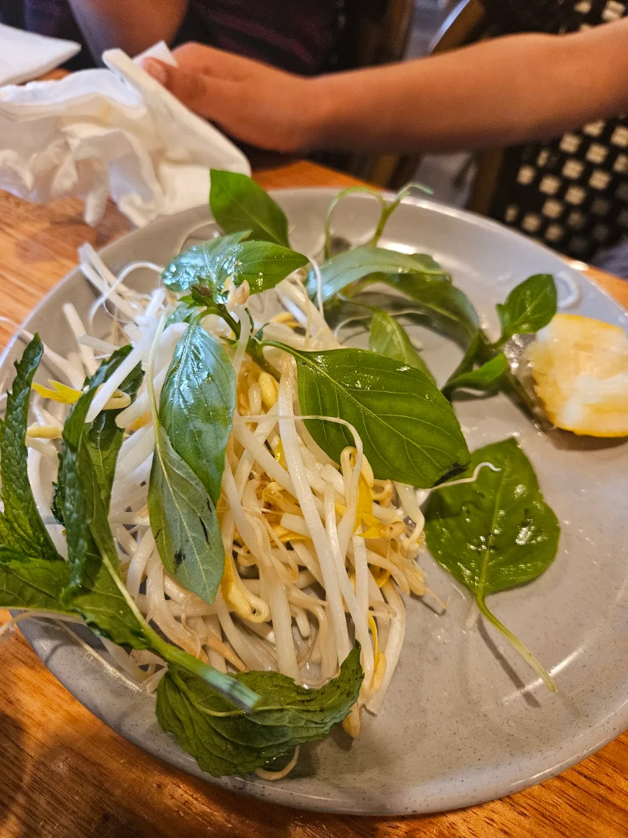 Sprouts, Hanoi Lotus
