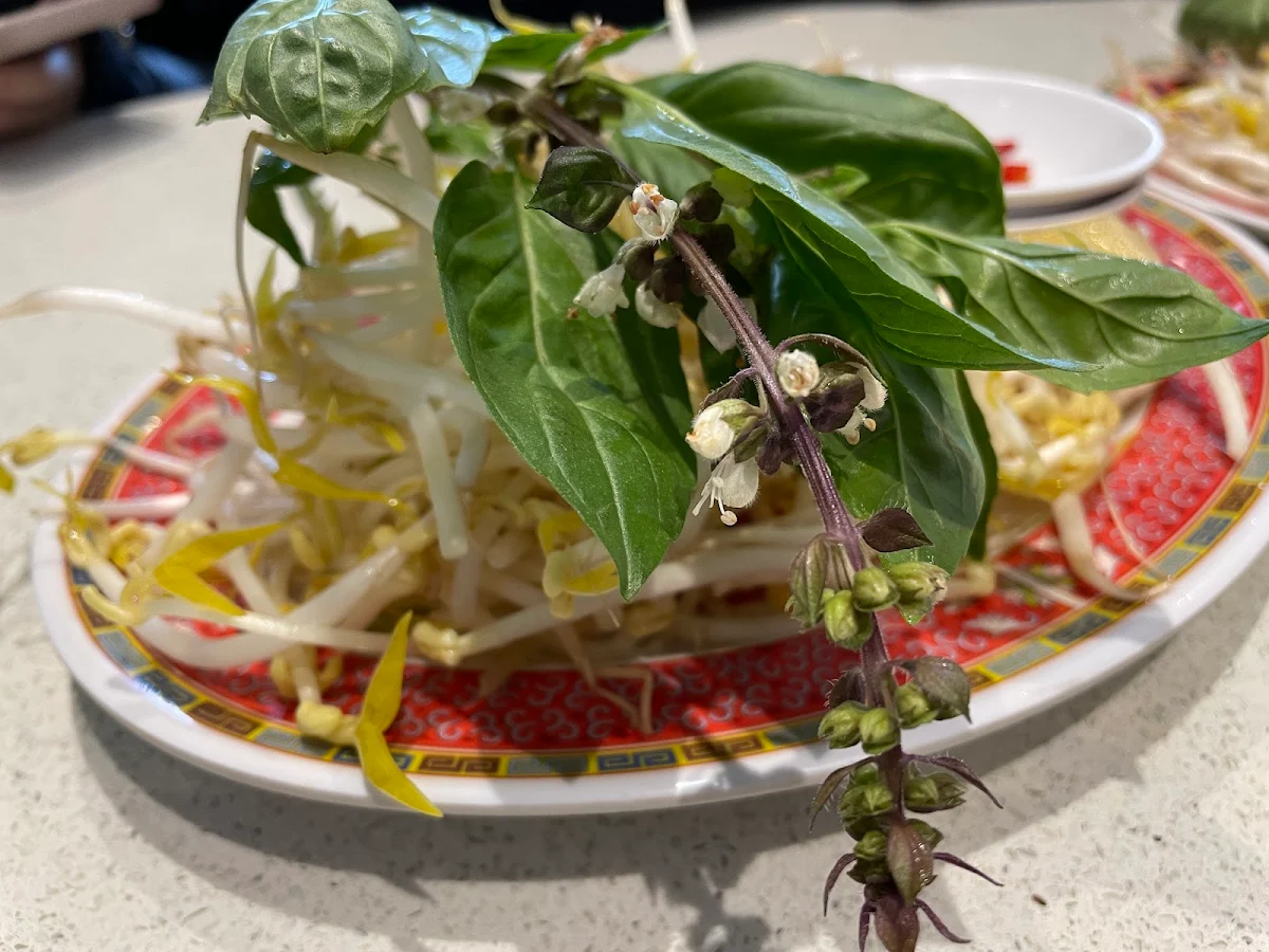 Bean Sprouts and Basil for Pho