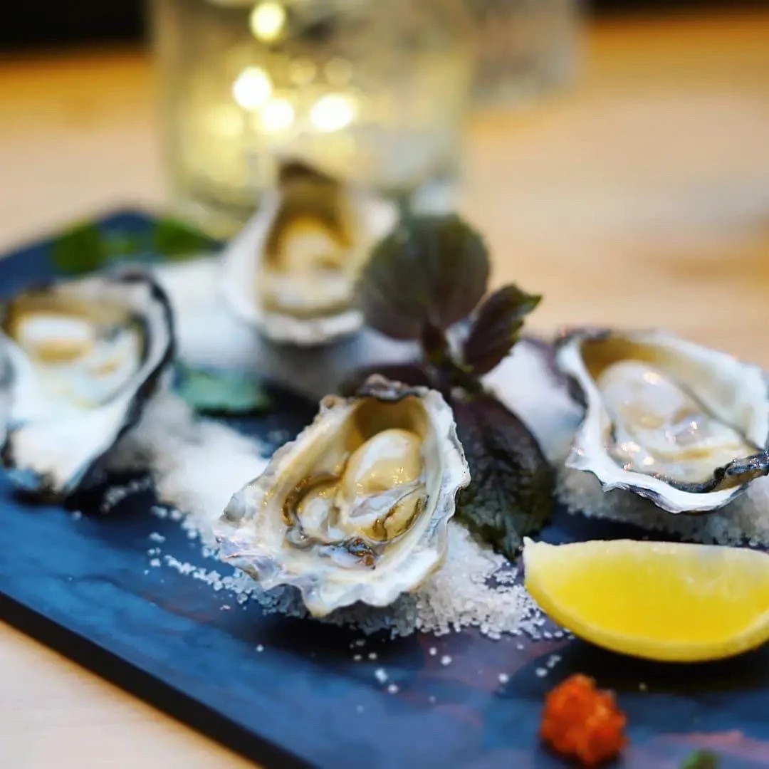 Fresh Oysters
