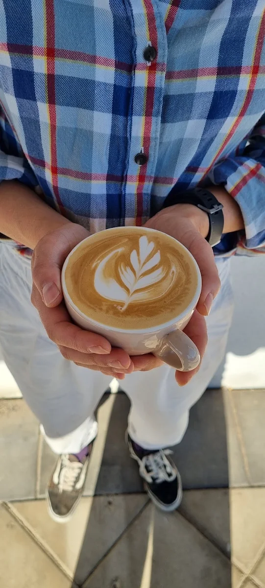 Highlights, yamaya coffee