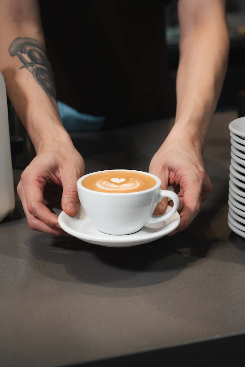 Highlights, Cafe 501