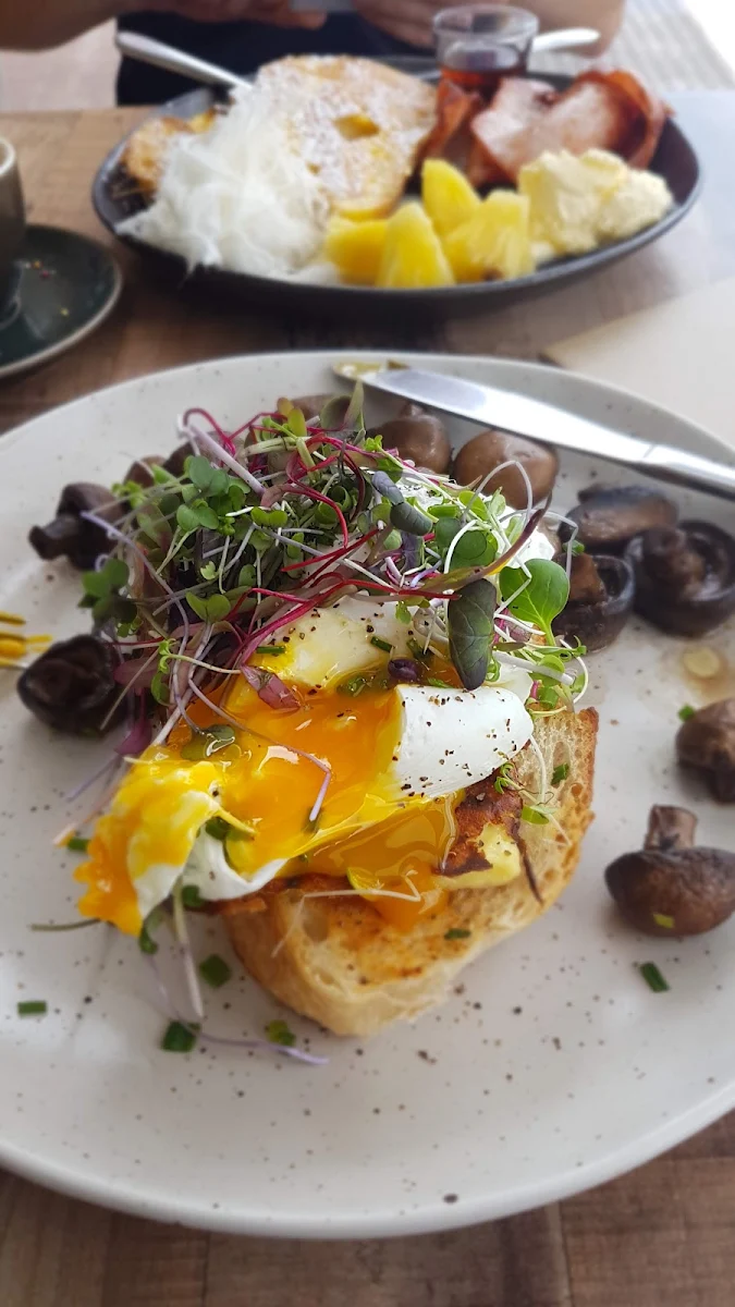 Mushroom Halloumi