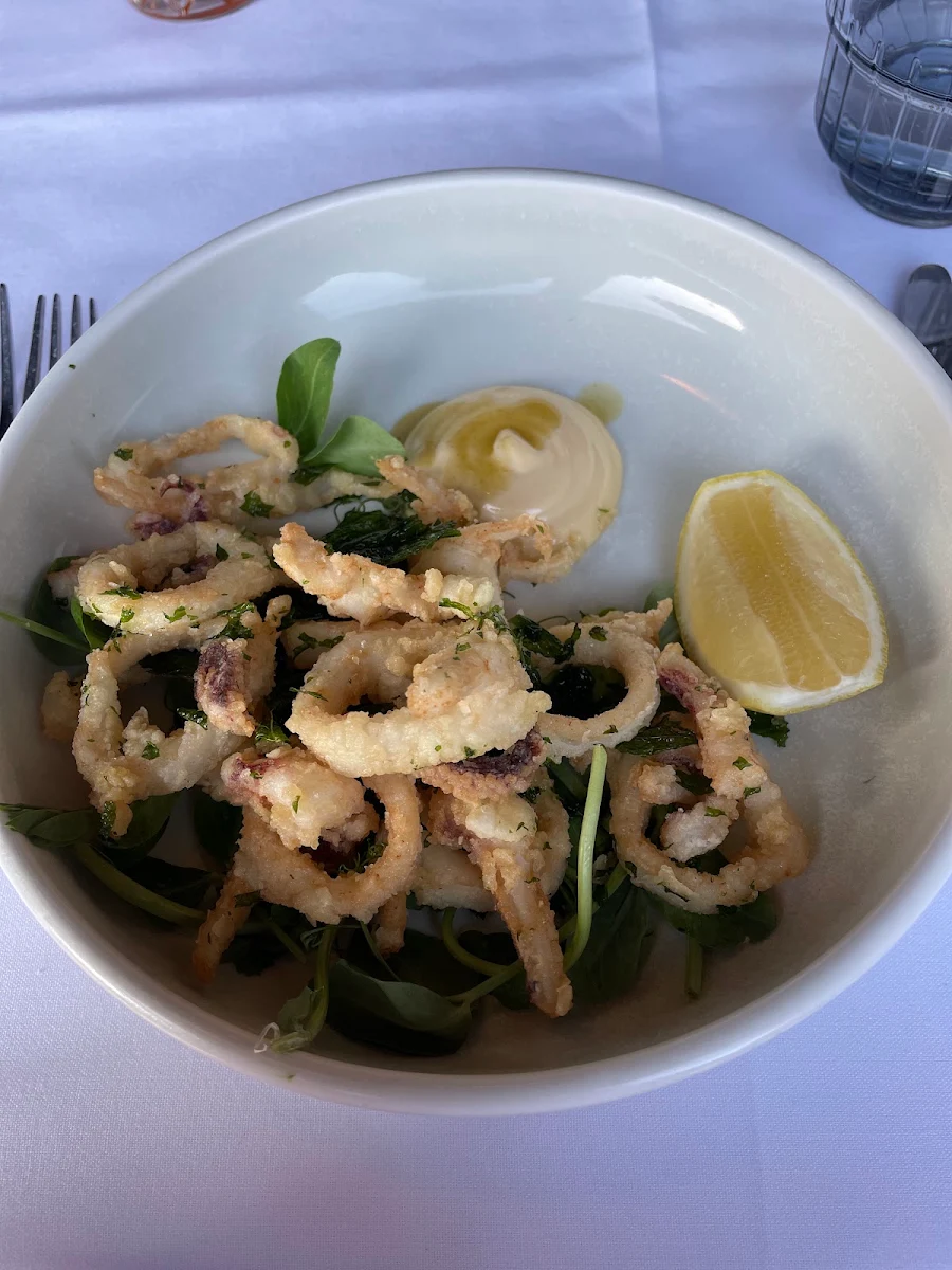 Calamari, Centonove