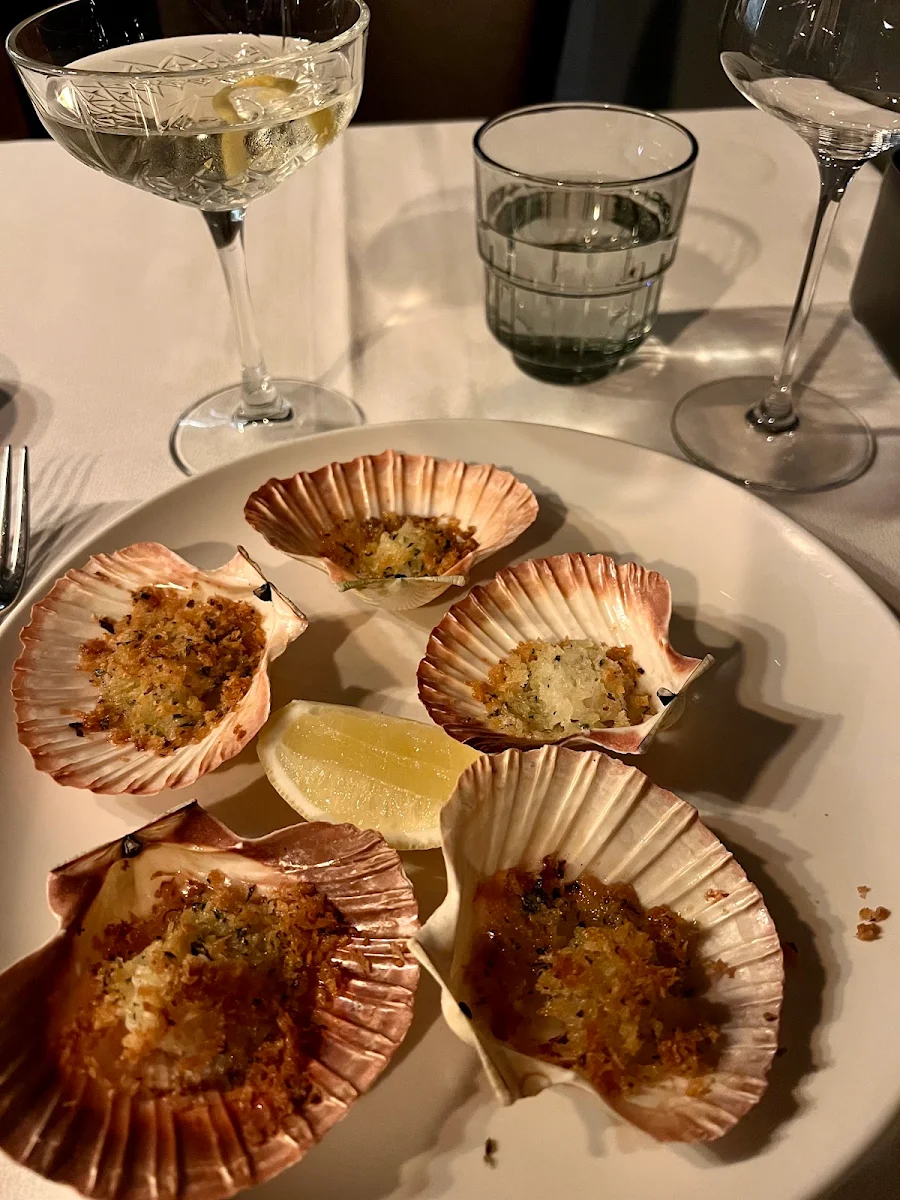 Scallops, Centonove
