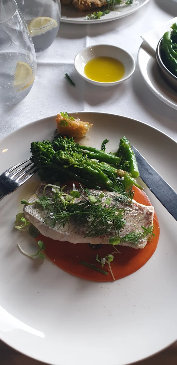 Snapper, Centonove