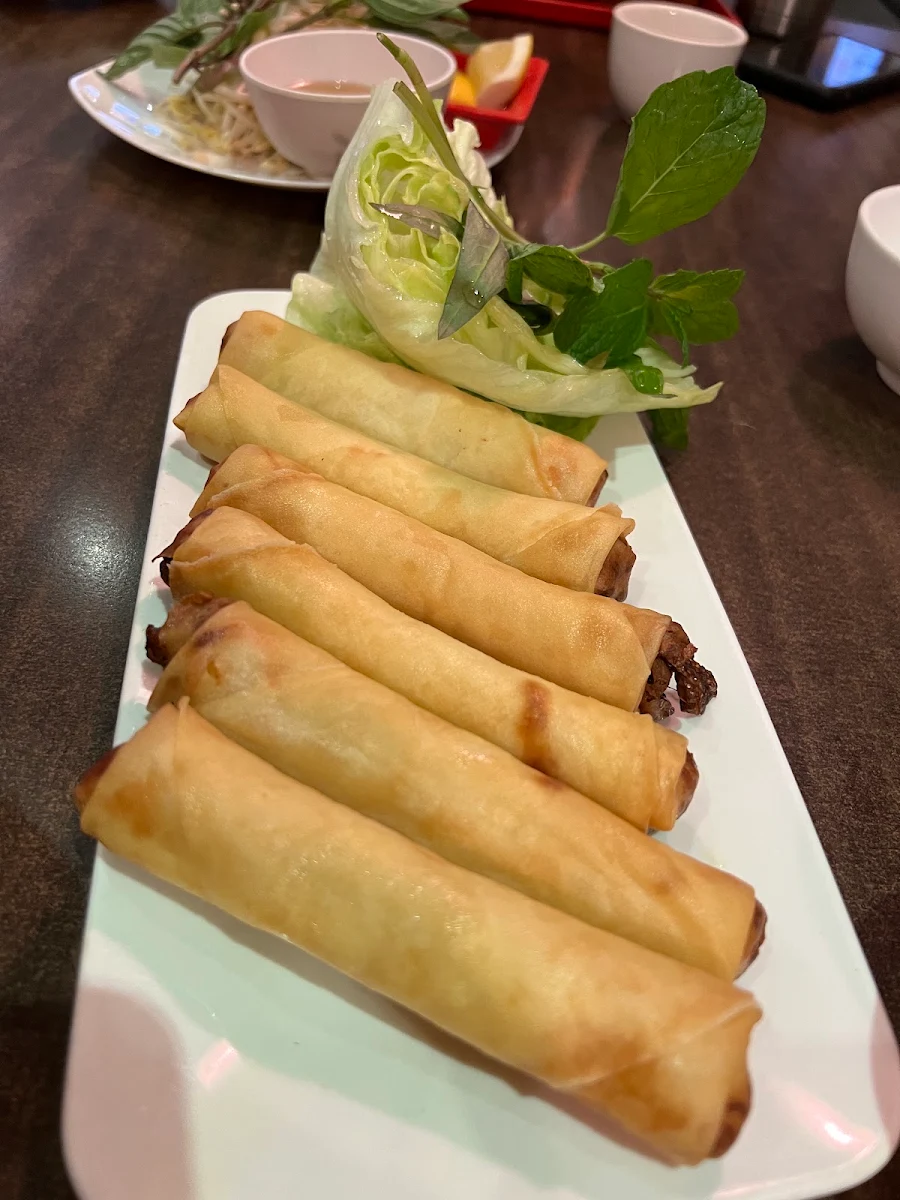 Vegetarian Spring Rolls