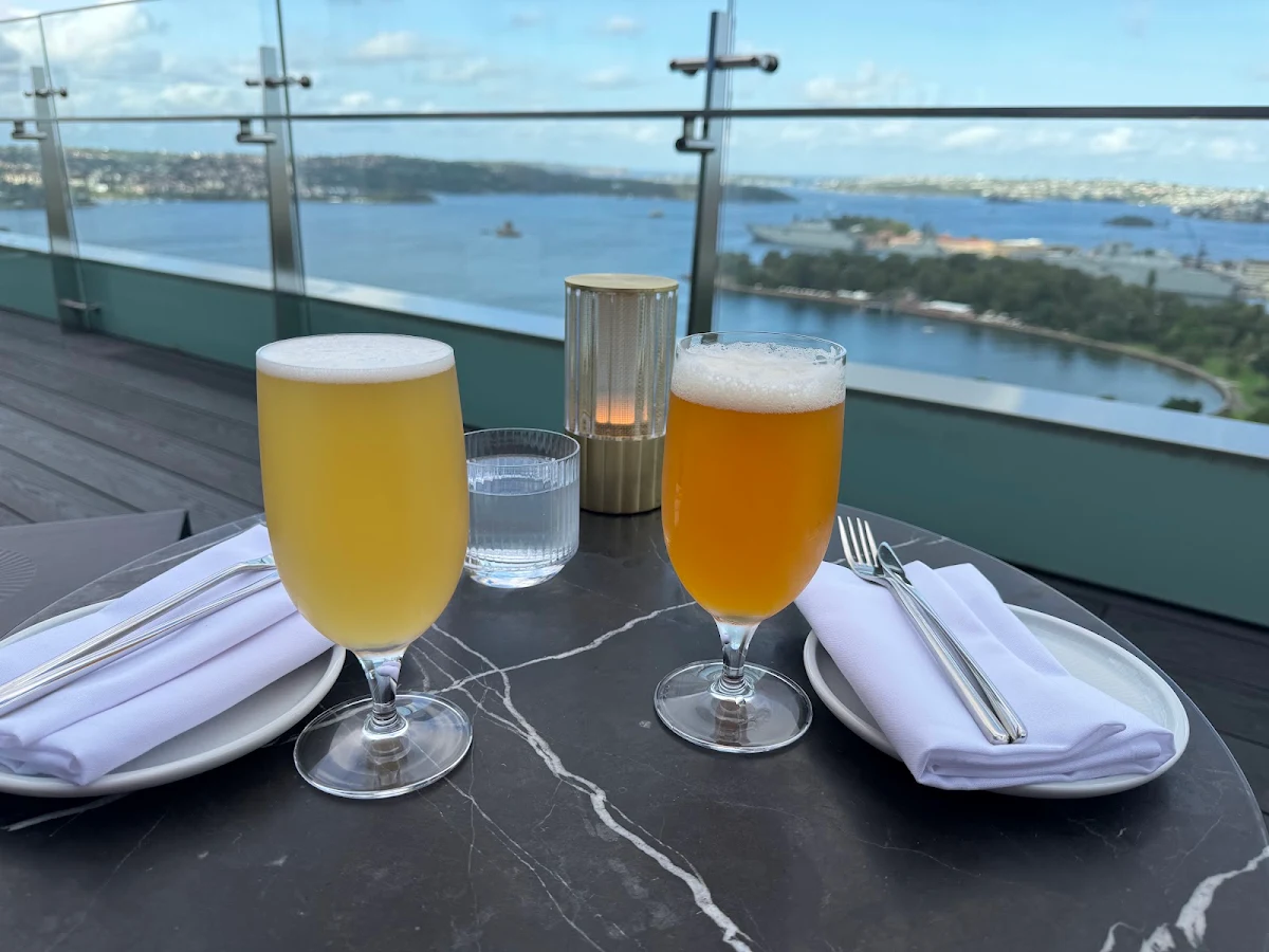 IPA Beer, Aster