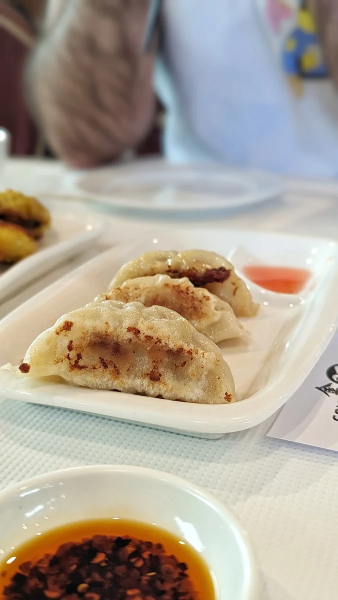 Pan-Fried Pork Dumplings
