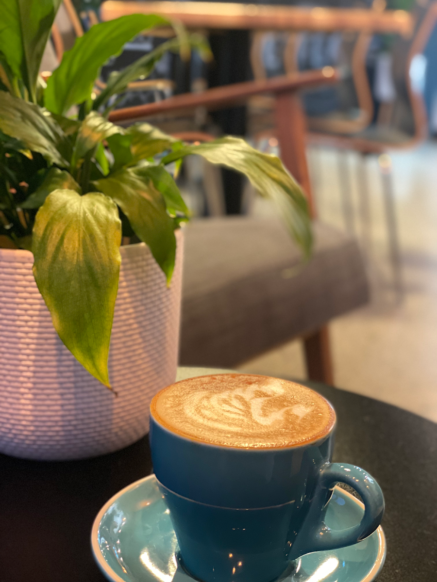 Highlights, Caffeinate Coffee Co
