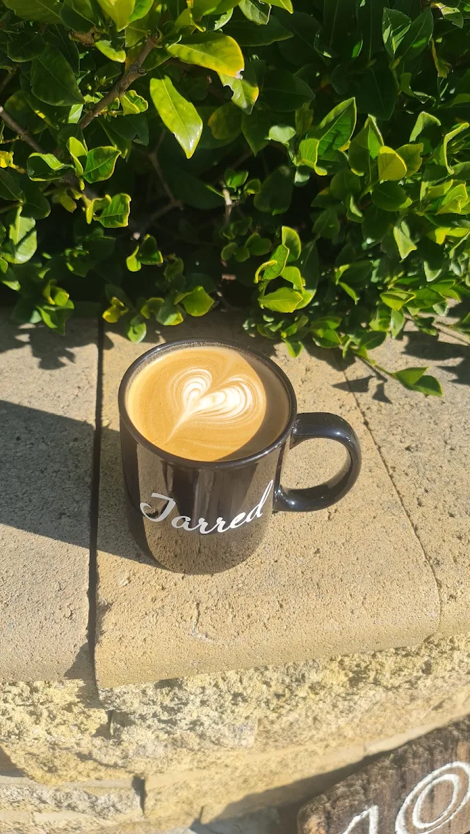 Highlights, Cafe De Luz