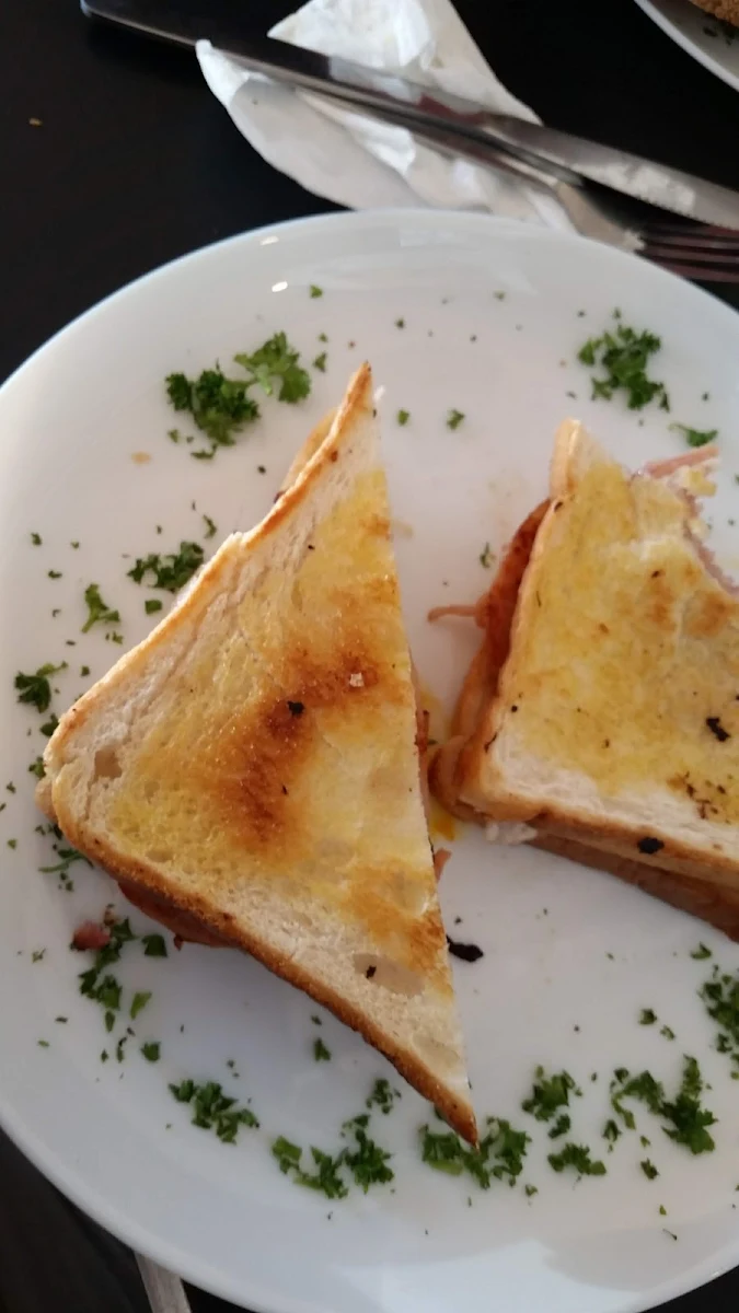 Toasted Sandwich