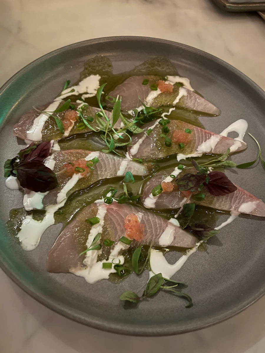 Salmon Ceviche