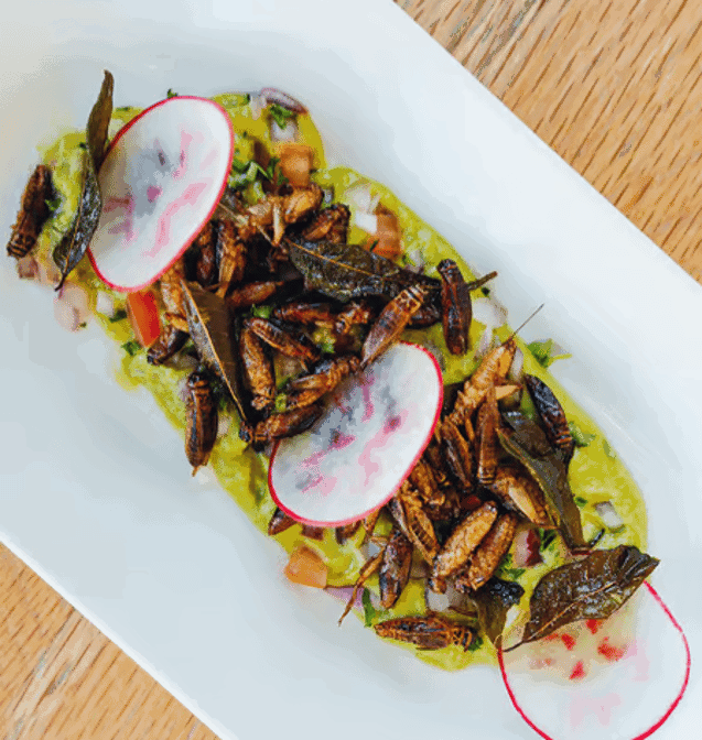 Highlights, Street Eats Mt Hawthorn
