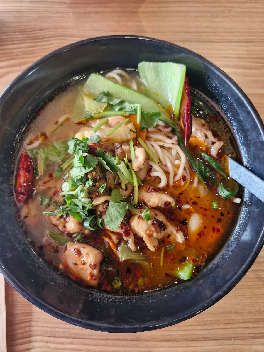 Spicy Chicken Noodle Soup