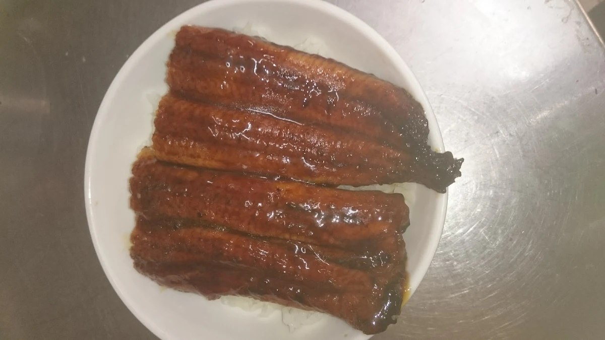 Unagi Eel Don