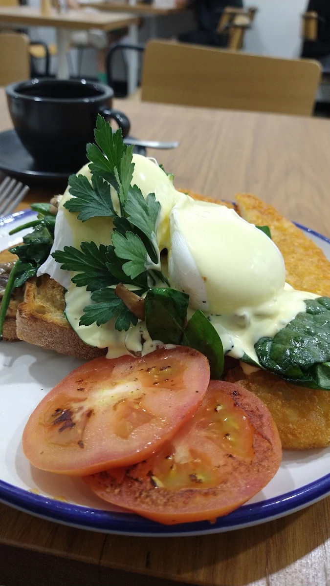 Poached Eggs Benedict with a Side of Hash Browns