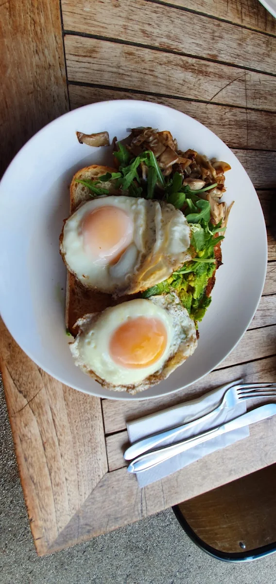 Toast with Fried Eggs Avocado and Mushroom