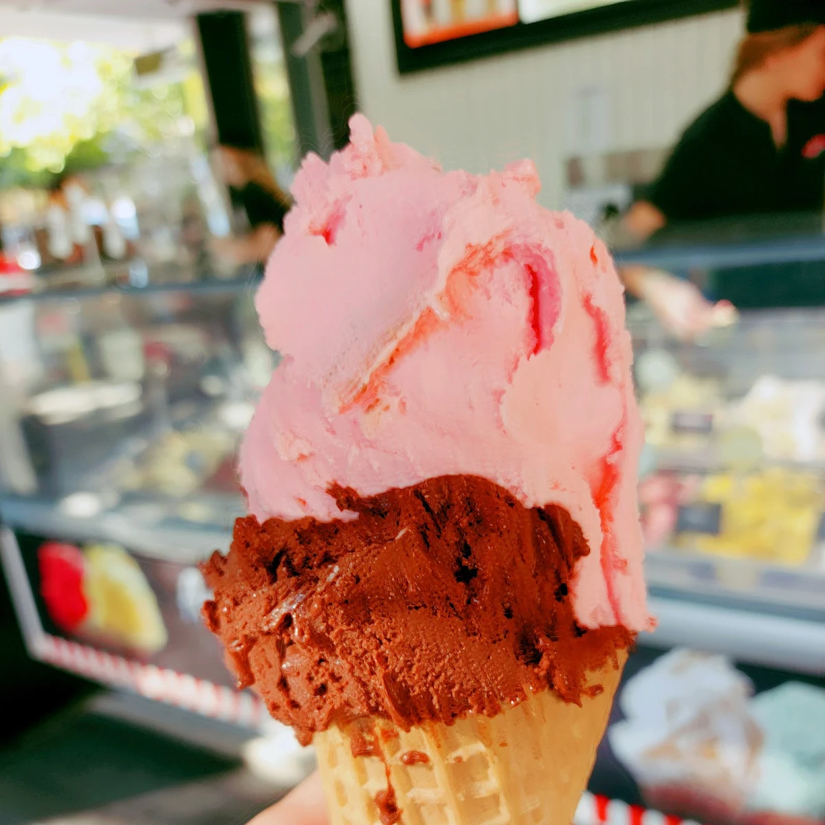 Sugar Free Chocolate and Sugar Free Strawberry Gelato