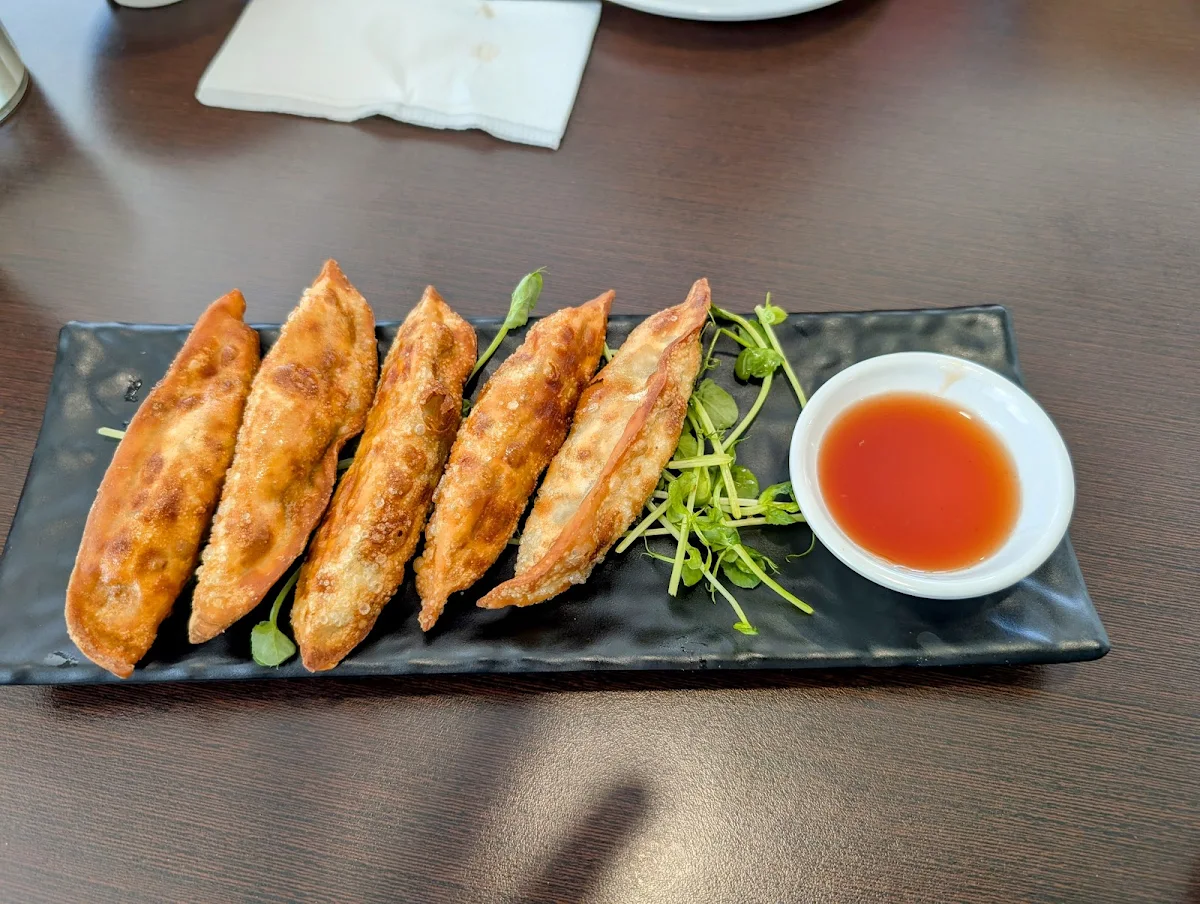 Fried Dumplings