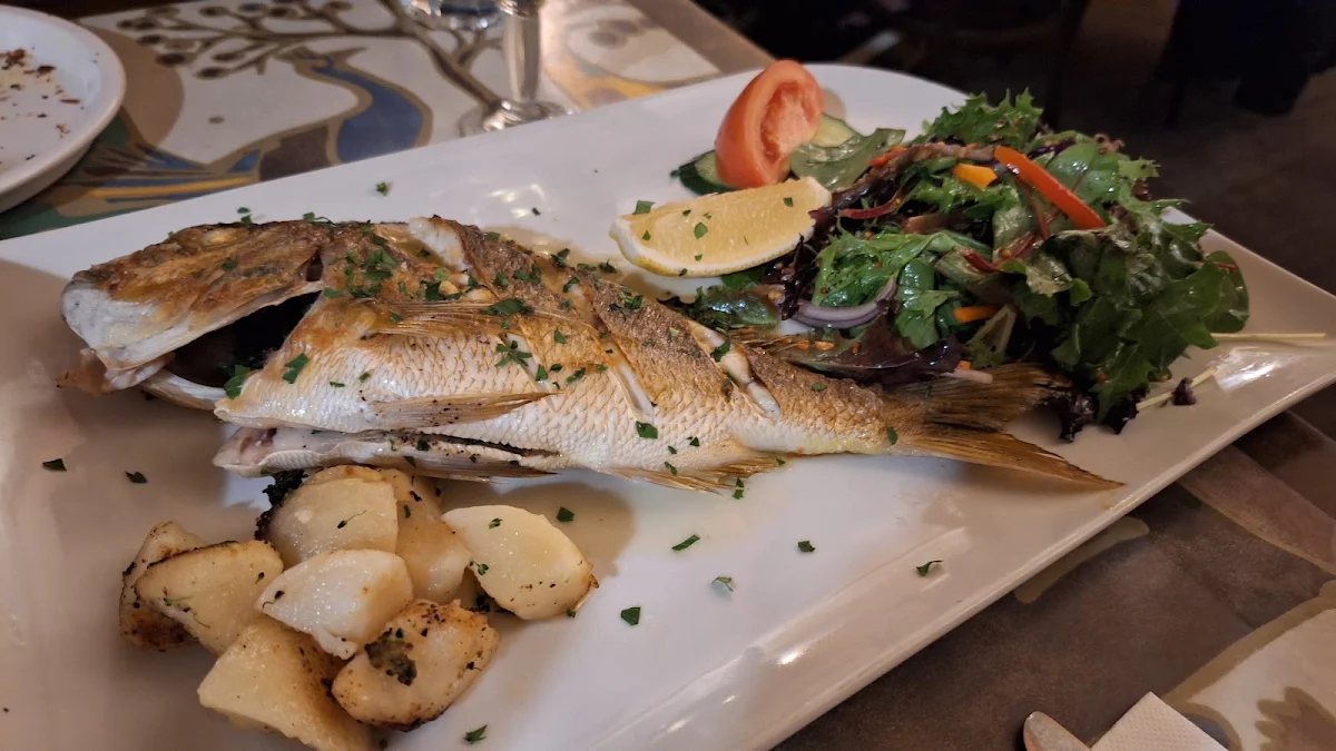 Snapper, Piccolo Mondo