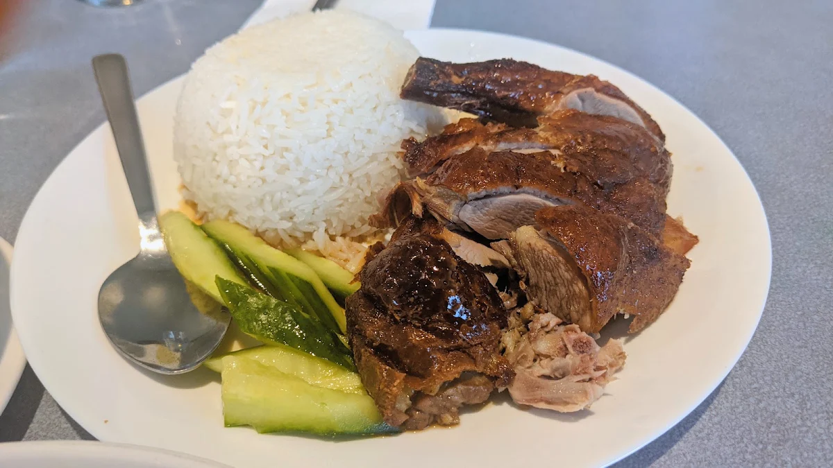 Roast Duck and Rice