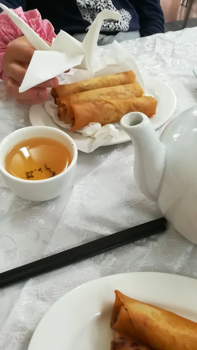 Vegetarian Spring Rolls