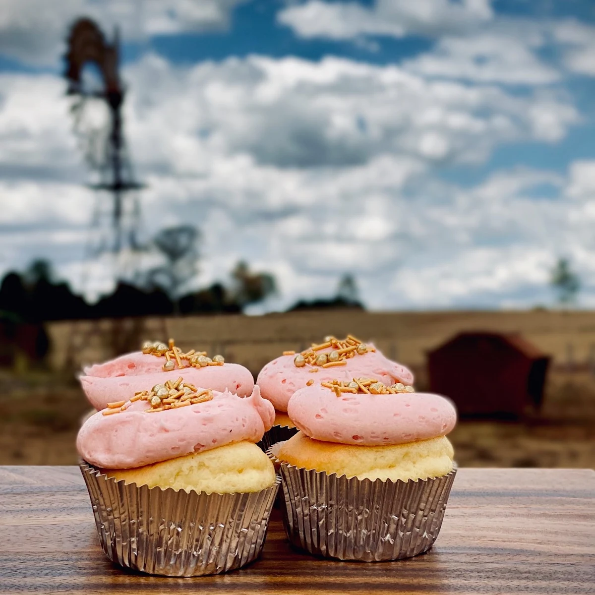 Highlights, Windmill Bakery Kingaroy