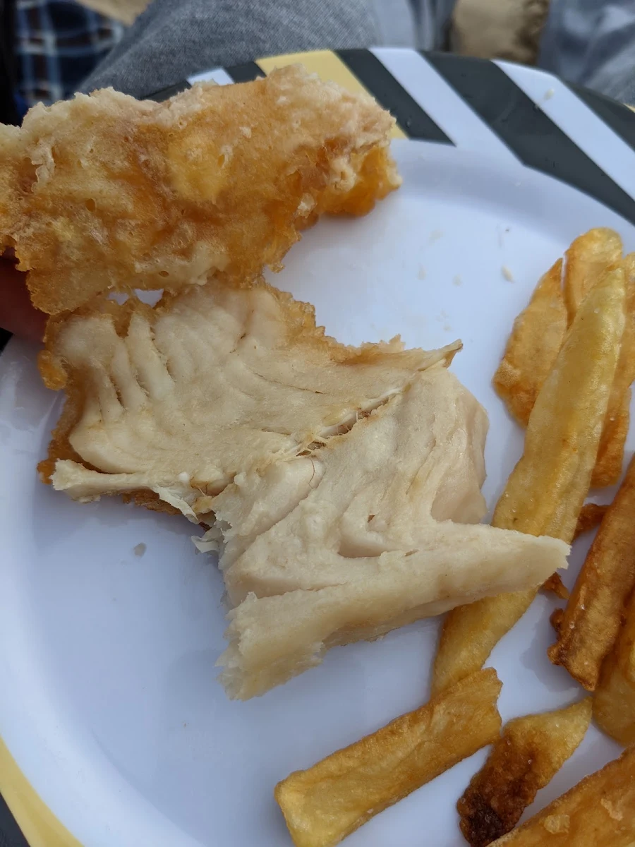 Flake, Balnarring Fish & Chips