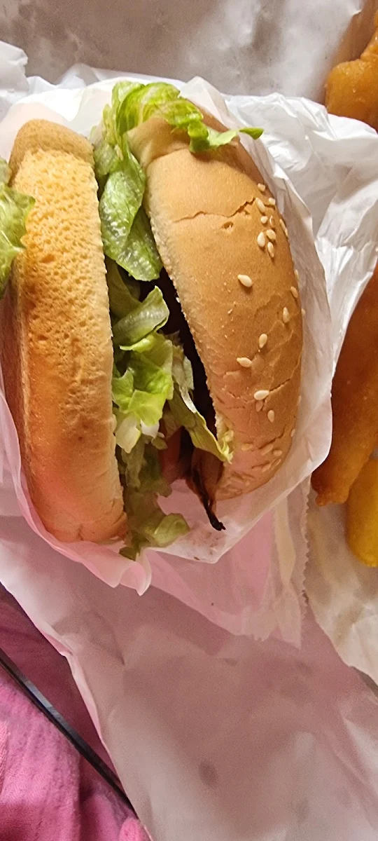 Plain Hamburger, Hassall Grove Takeaway