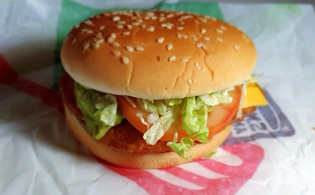 Chicken Burger